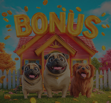 The Dog House